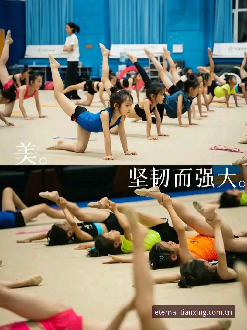 天行体育最新版对比实操教程：三分钟锁定适合你的版本
